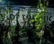 thanks to the introduced system, the first public place related to culture was created, which has a healthy microclimate at a level close to the clean rooms