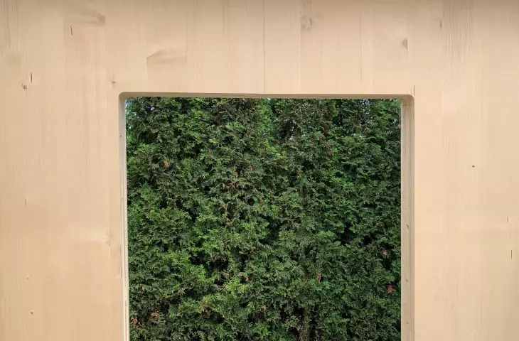 CLT wood - the future of wood construction