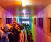 Ula Zerek's installation in the underpass 
