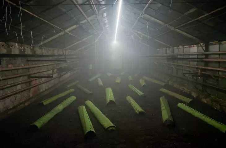 Instalacja Cezarego Poniatowskiego 