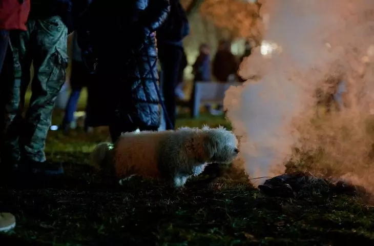 Para w instalacji Magdaleny Franczak ciekawiła nie tylko ludzkich uczestników festiwalu