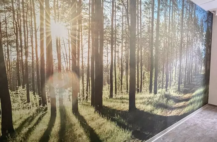 Muraspec wallpaper - implementation in a training center