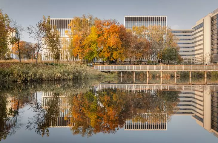 view from the park