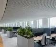 Pareaulux HeartFelt® ceiling, Afas Headquarters in Leusden, the Netherlands
