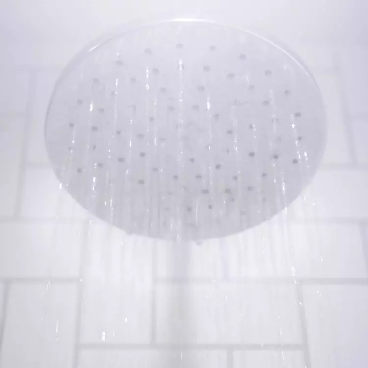 Some handsets are equipped with water-saving features