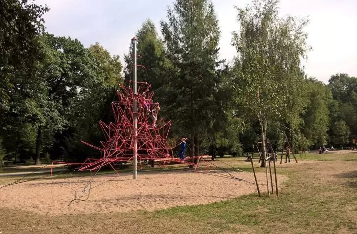 Pyramid Spider