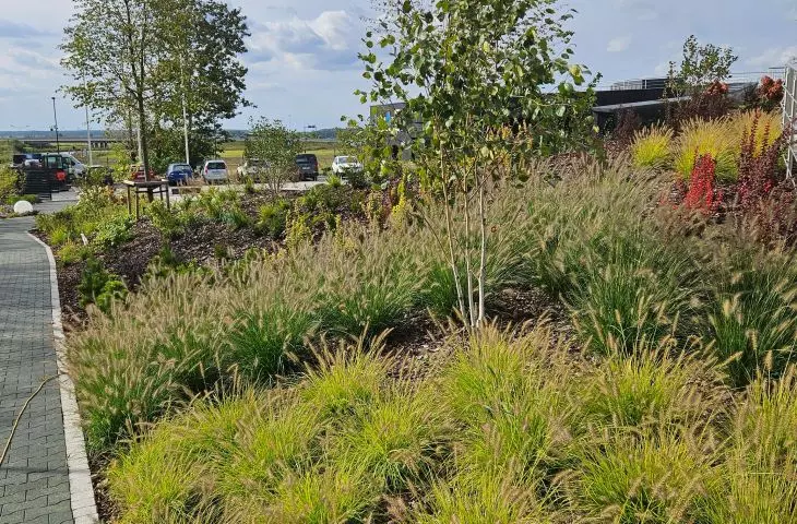 There is a lot of greenery in the CEE area