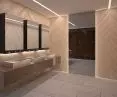 DELABIE 4-function mirror cabinet