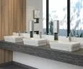 New Franke countertop washbasins with integrated mounting seal