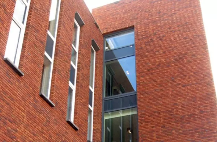 Viola Light Bricks