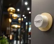 fontini DO surface switch