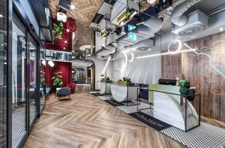 Mirror ceiling panels