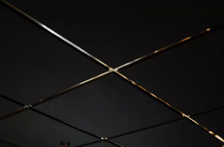 Ecophon suspended ceiling