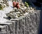 Palisada Cios Skalny