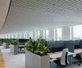 Sufit Pareaulux HeartFelt®, Siedziba Afas w Leusden, Niderlandy Fot. Hunter Douglas Architectural