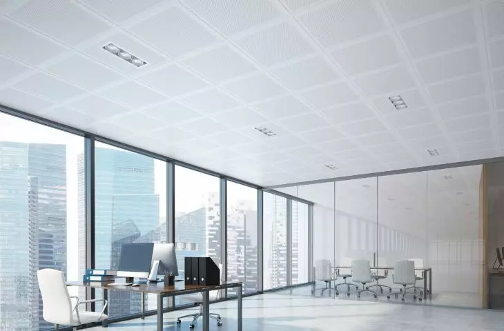 Gyptone Point 80 - sound-absorbing panels for coffered ceilings