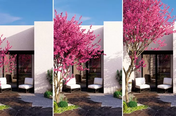 With Lumion you will always create stunning images, animations and 360 panoramas