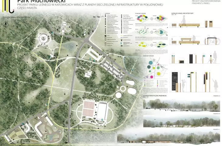 Park Muchowiecki — projekt parku leśnego w Katowicach wraz z planem zielonej infrastruktury w południowej części miasta