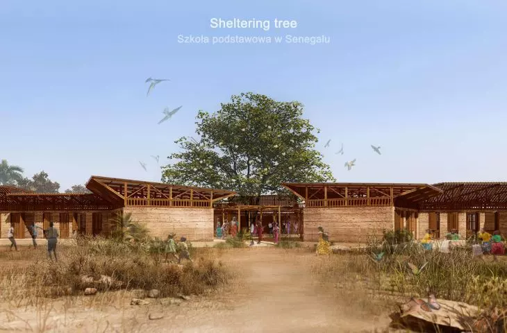 Sheltering tree. Szkoła podstawowa w Senegalu