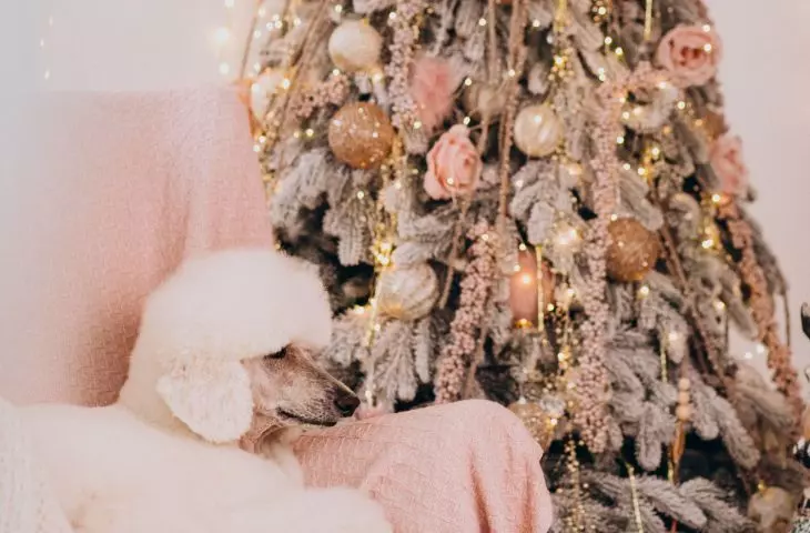 Live flowers can be a great Christmas tree decoration