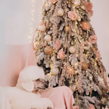 Live flowers can be a great Christmas tree decoration
