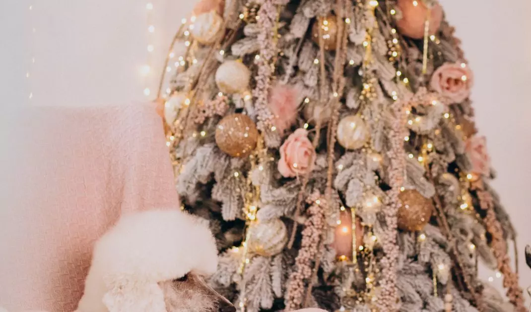 Live flowers can be a great Christmas tree decoration