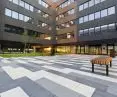 Novator City paving slabs