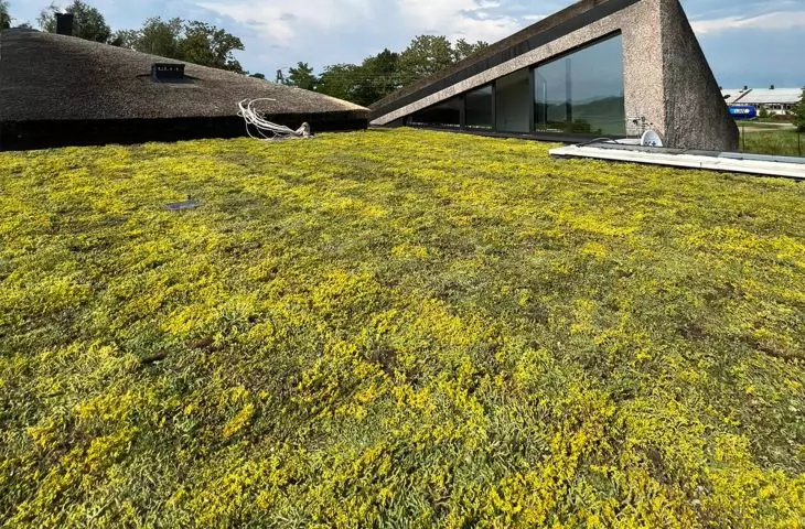 Cieslik's Barge - the award-winning home of Daniel Cieslik of Anta Architects