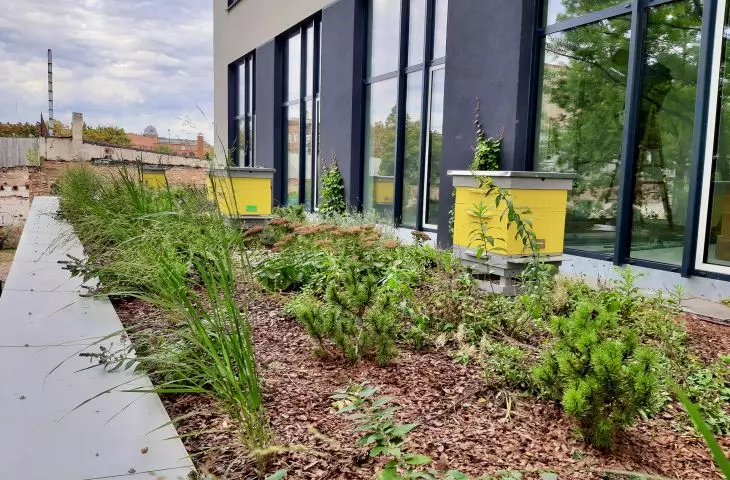 Apiary on the green roof of the Synergia business center in Lodz, Poland