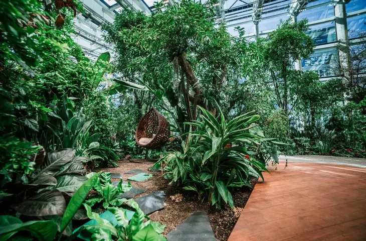 Tropical garden at Olivia Garden in Gdansk, Poland
