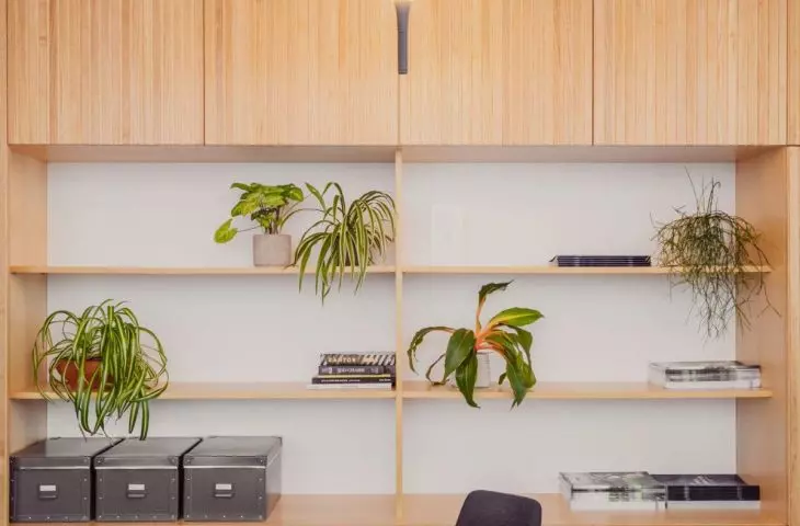 A feeling of warmth to the industrial aesthetic is introduced by wood