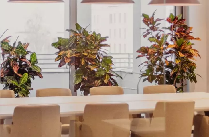 wnętrza siedziby firmy Dargo