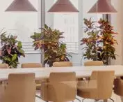 interiors of Dargo company headquarters