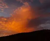 Z domku rozpościera się widok na las