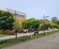 przestrzeń kampusu UJ wymaga zmian, jeśli chcemy w pełni wykorzystać jej miastotwórczy charakter