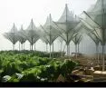 For the night, the structure closes, catching the fog