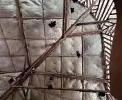 woven by local artisans, the roof simultaneously protects from the sun and gently lets light into the halls
