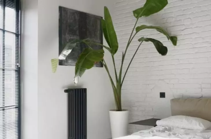 The private area consists of a bedroom with an open bathroom