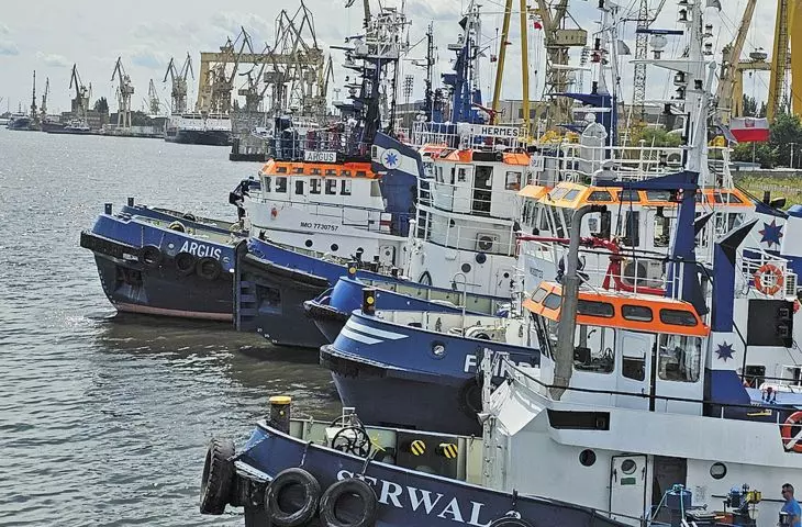 This forest of cranes, masts, a feast of hulls ... madness!