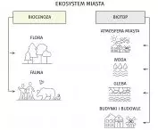 CITY ECOSYSTEM