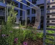 Retention in the soil substrate on the roof of the building - DOKI estate, Gdansk, 