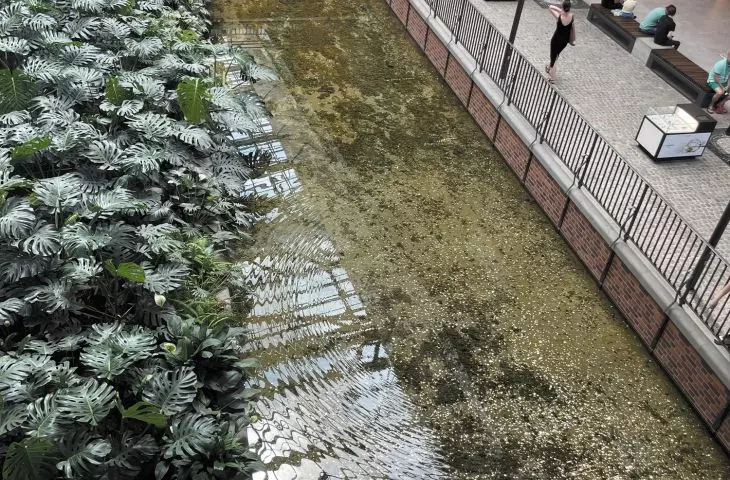 wasted opportunity - dead water in an artificial reservoir in the Forum Shopping Mall in Gdansk