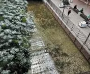 zmarnowana okazja — martwa woda w sztucznym zbiorniku w CH Forum w Gdańsku