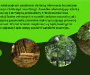 Weronika Serwińska i Gabriela Romanek