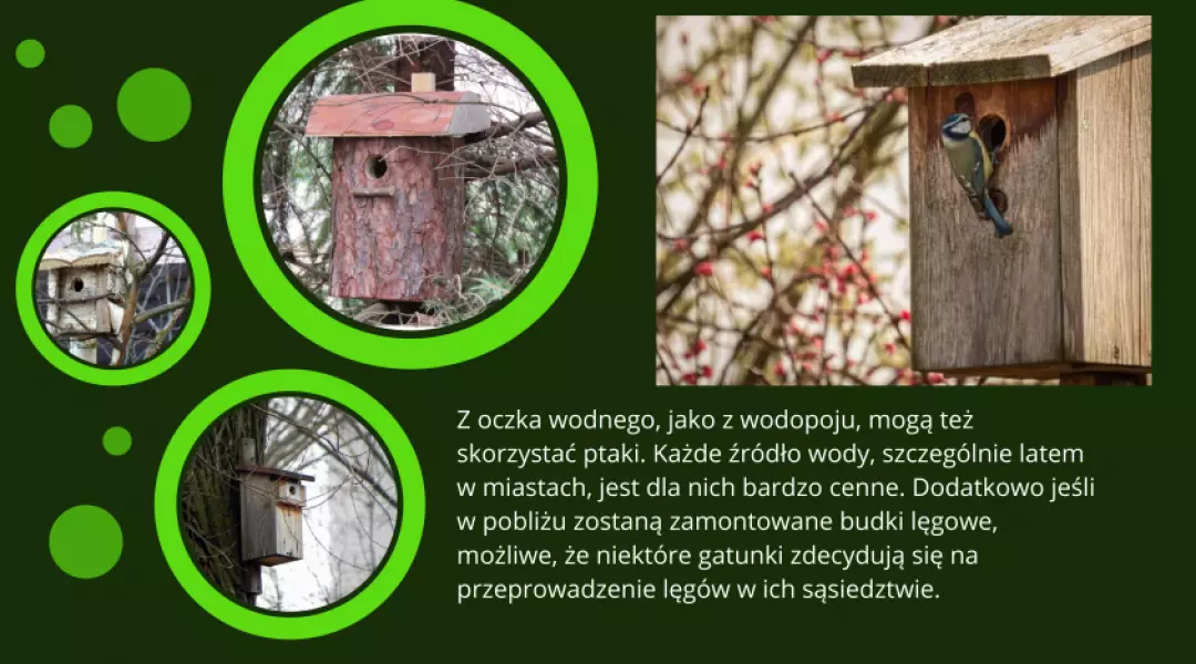 Weronika Serwińska i Gabriela Romanek