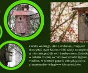 Weronika Serwińska i Gabriela Romanek