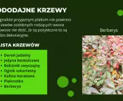 Weronika Serwińska i Gabriela Romanek