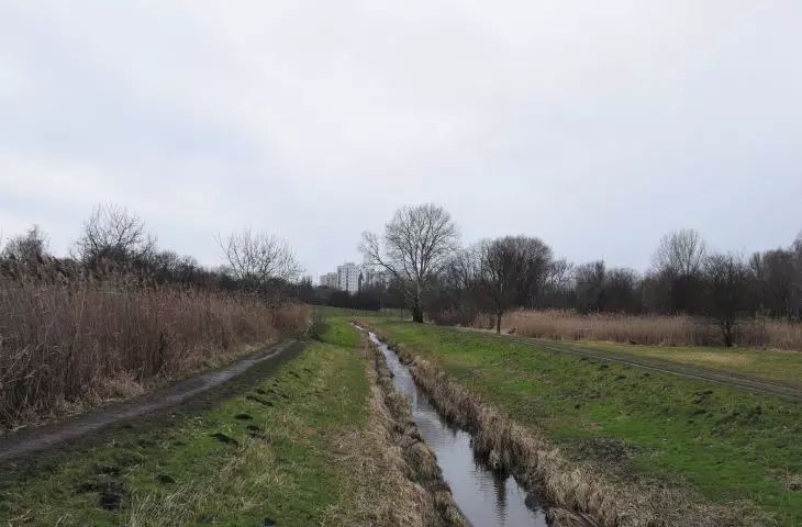 Sluzewiec creek in Warsaw, a typical example of a river in a canal
