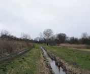 Sluzewiec creek in Warsaw, a typical example of a river in a canal