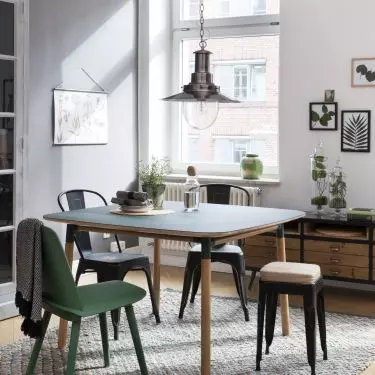 Mid-Century Botanical combines Mid-Century Modern and Botanical styles
